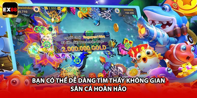 Bạn có thể dễ dàng tìm thấy không gian săn cá hoàn hảo