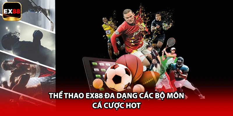 Thể Thao EX88 đa dạng các bộ môn cá cược hot
